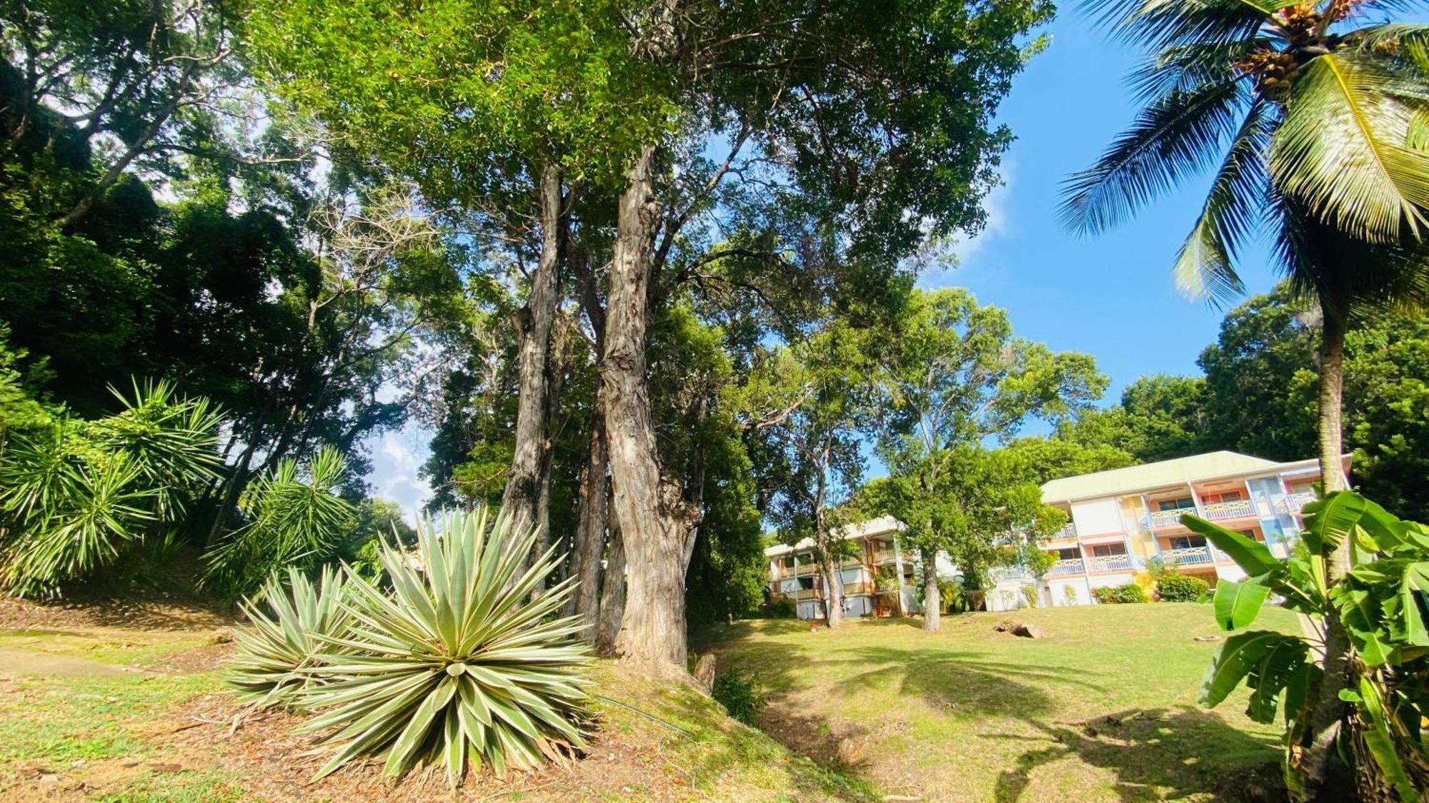 Villa Secret Garden Sainte-Anne Exterior foto